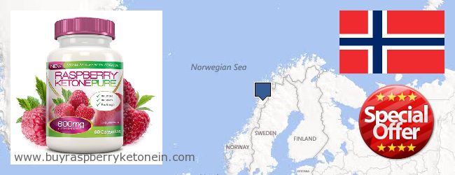 Πού να αγοράσετε Raspberry Ketone σε απευθείας σύνδεση Norway